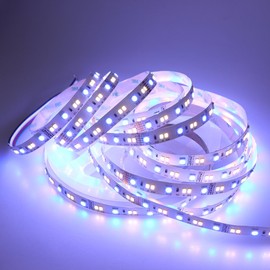 LEDENET RGB W WW 24V Flexible LED Strip Lighting Full Color Changing Color Temperature Adjustable Cold White Warm White CCT RGB LED Tape Ribbon Lamp 5m 16.4ft Long Non-Waterproof