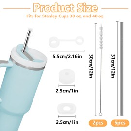 Reusable Stainless Steel Straws, 6 Metal Straws with 2 Cleaning Brushes, 1 cm Diameter, 31 cm Length for Smoothie, Milkshake, Thick Drinks