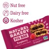 Nature's Bakery Stone Ground Whole Wheat Fig bar 24 Twin
