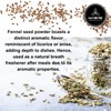 Naturevibe Botanicals Fennel Seed Ground Powder 5lb | Foeniculum Vulgare
