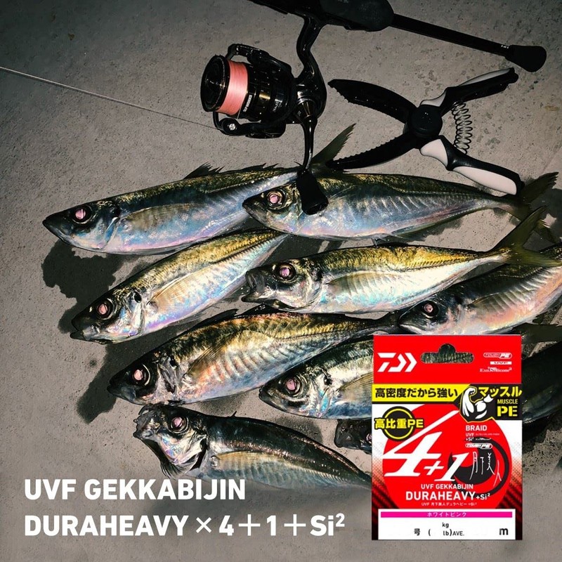 Daiwa 0.5-200 PE Line UVF DuraHeavy X4+1+Si2 White Pink