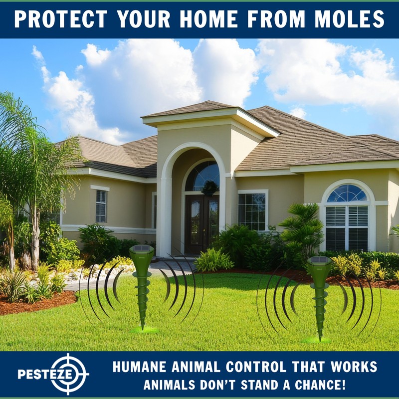 2 Pack PESTEZE Reusable Solar Mole, Snake, Gopher, Vole, Chipmunk,