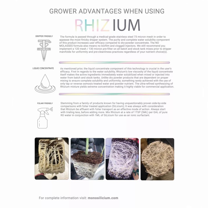 SiLicium Rhizium - For Strong Root Systems and Decreased Root