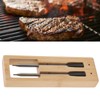 Wireless Meat Thermometer Smart Design USB Power Multifunction Wireless BT