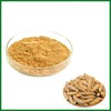 Liriope Extract Powder 100g Sample