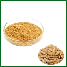 Liriope Extract Powder 100g Sample