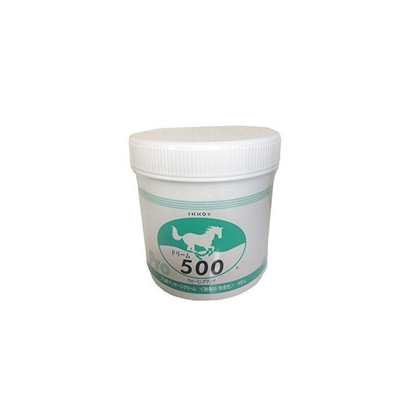 dream500