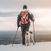 COSTWAY 2 Pack Telescopic Trekking Poles, Portable Aluminum Hiking Sticks,