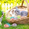 48 Stück Ostereier zum Aufhängen,Ostereier Plastik,Easter Eggs,Osterdeko für Draußen,Plastikeier Bunt(6