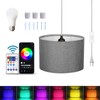 ZSLAIFU 15FT Plug in Pendant Light, Hanging Lamp with Switch,Gray