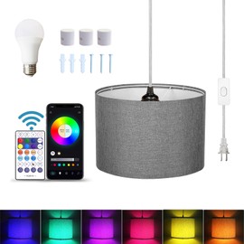 ZSLAIFU 15FT Plug in Pendant Light, Hanging Lamp with Switch,Gray Hanging Lights with Plug in Cord, Pendant Lamp with Remote Control，Pendant Light Fixture for Living Room Bedroom Farmhouse