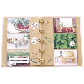 Nakabayashi TER-L3Y-140-BR Binder Pocket Album, Terracotta, L Size, 3 Tiers, Brown