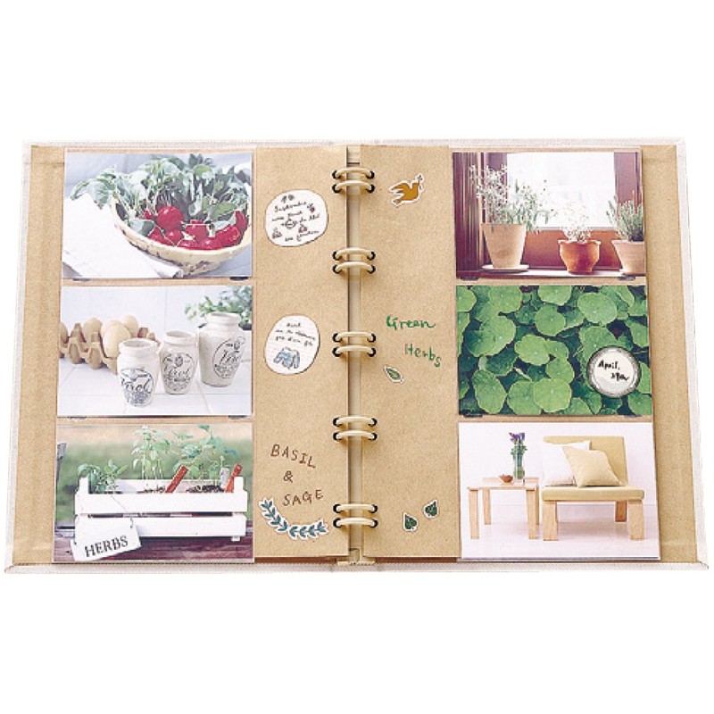 Nakabayashi TER-L3Y-140-BR Binder Pocket Album, Terracotta, L Size, 3 Tiers,