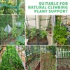 5ft 5-Pack Tomato Cage Support Green Garden Plant Sticks/Stakes for