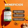Vidanat Cúrcuma 500 mg 60 Cáps – Complemento Alimenticio Natural