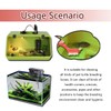 3 Pcs Turtle Cleaning Brush, Remove Aquatic Mud, Dirt, &