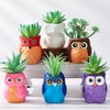 Tanlade 12 Set Paint Your Own Ceramic Planters Mini Owl