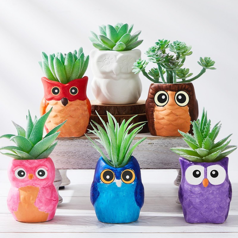 Tanlade 12 Set Paint Your Own Ceramic Planters Mini Owl