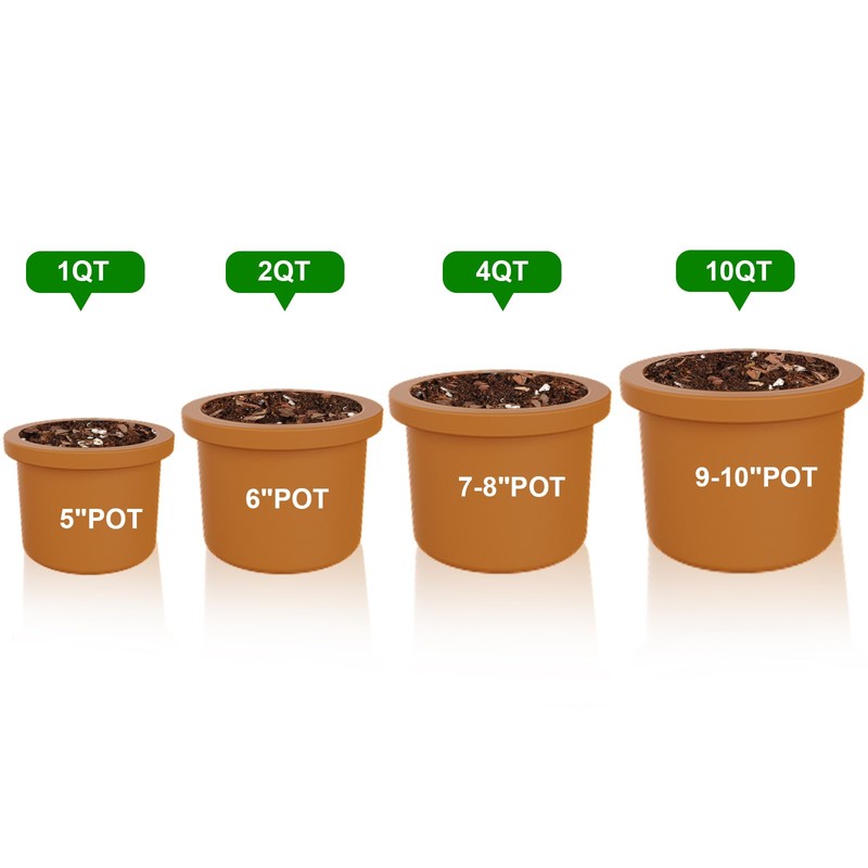 Doter Succulent & Cactus Soil Potting Mix 1qt, Chunky Dirt