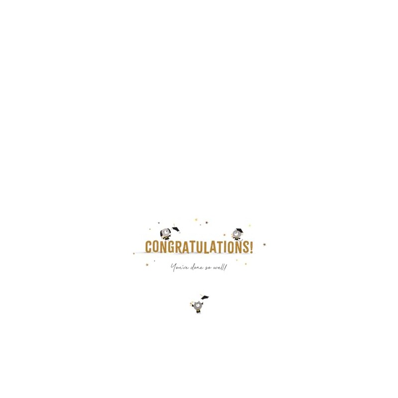 Piccadilly Greetings You Did It! Graduation Card - 8 x