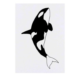 'Killer Whale' Temporary Tattoo - Water Resistant, Skin-Safe, Non-Toxic Transfer (TO00017740)