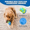 TOOPTATE Dog Toys for Aggressive Chewers - Squeaky Dog Chew