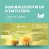 Löwenzahn Tropfen - 100ml - Bitterstoffe - Mit Löwenzahnwurzel -