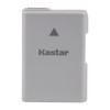 Kastar Battery 1 Pack and LED Dual Charger for Nikon