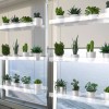 Kuahome 3-Tier Acrylic Window Wall Hanging Clear Plant Shelves for