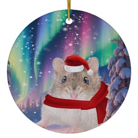 Funny Gray Hamster Christmas Ornament 2025 Ceramic Circle White - Festive Winter Northern Lights Holiday Xmas Tree Hanging Decoration Gifts for Hamster Lovers