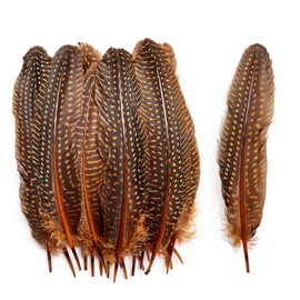 HAPPY FEATHER 6-9 inch Natural Guinea Wing Plumage Feather for DIY Craft, Jewelry and Clothing Decoration Pack of 20-Orange