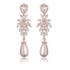 14K Gold Crystal Pearl Drop Earrings for Women,Dainty Freshwater Pearl