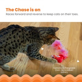 Catstages Racin' Squirrel Robot, Electronic Moving Cat Toy with Feathers, USB Rechargeable, Red