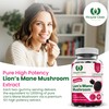 Royal Oak Health Lion's Mane Mushroom Gummies - 60 Natural