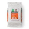 etc G&C Pets Ultra Deodorizing Wet Wipes - Refreshing Citrus Scent - 100 Pieces / 지앤씨 Pets 울트라 데오도라이징 물티슈 - 상쾌한 시트러스 향 - 100개