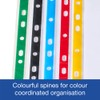 SUMMIT 100 Multi-Colour Punched Pockets A4