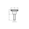Ganter Standard Elements. High Knurled Screws DIN 464 Thread M5 | Burnished