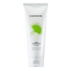 Charmzone Ginkgo Natural Cleansing Foam 200g / 참존 징코 내추럴 클렌징 폼 200g