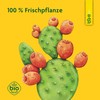 Schoenenberger - Kaktusfeige naturreiner Fruchtsaft - 1x 200 ml Glasflasche