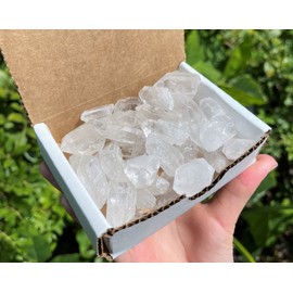 Clear Quartz Points Crystal Collection 1/2 Lb (8 oz) Natural Specimens in Box
