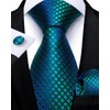 DiBanGu Mens Adjustable Zipper Ties, Woven Paisley Striped Plaid Necktie