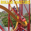 Willow Creek Press, Roller Coasters 2026 Wall Calendar, 12'' X