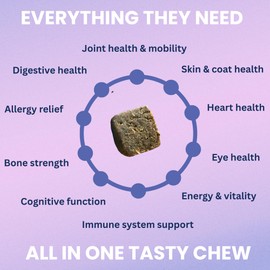 Under the Weather Under The Weather Multivitamin for Dogs | Vet Formulated Daily Canine Health Supplies for Immunity, Skin, Coat & Joint Support | All-in-One Multivitamin for Dogs of All Breeds & Sizes | 60 Count