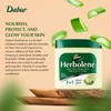 Dabur Herbolene Aloe Vera Gel Petroleum Jelly -Enhanced with Vitamin