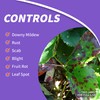 Bonide Mancozeb Flowable with Zinc Fungicide, 16 oz Concentrate, Broad