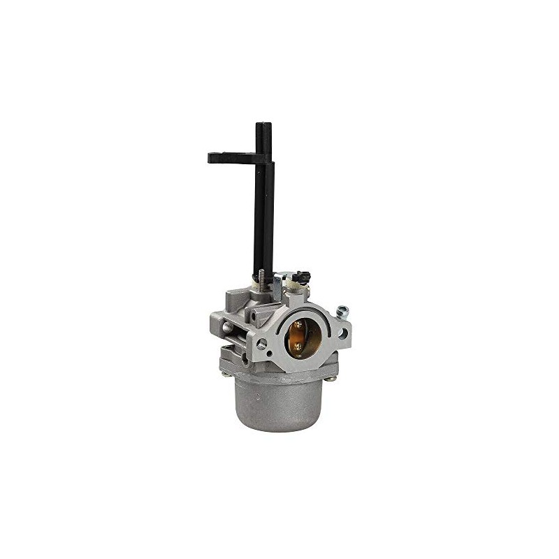 Fremnily 692475 Carburetor Compatible with Nikki 692475 G02506 for Briggs