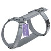 STUCH Y Dog Harness Padded & Adjustable - Dimensionally Stable,