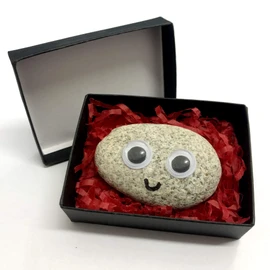 Pet Rock - Novelty Gift Idea - Ideal For Birthday Presents, Wedding Favours, Party Bags etc