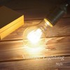 Visther A60 Edison Bulbs 60 Watt Incandescent Light Bulbs Dimmable,
