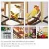 Rotating Parrot Perch Toy Bird Cage, Natural Wood Bird Perches